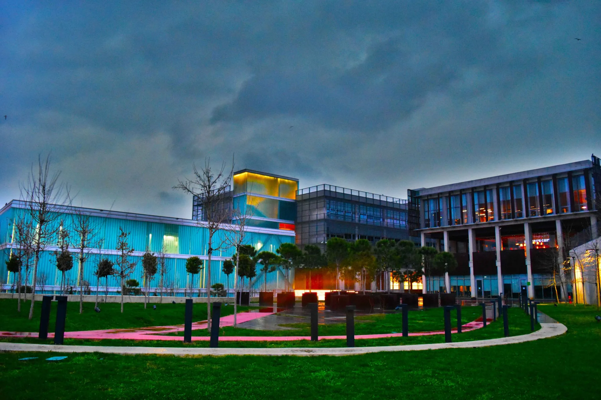 جامعة بيري ريس